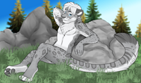 Nikoli (olisnowpaw)